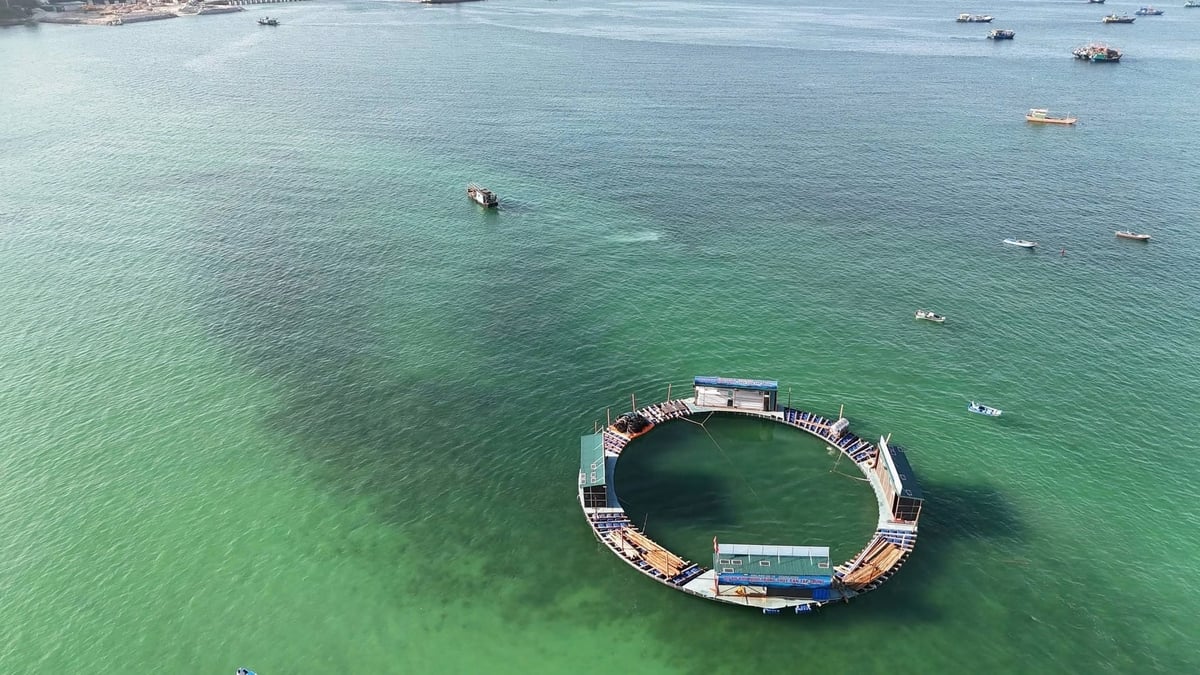 Dự án nuôi trồng thủy sản (hay còn gọi là Dự án Mực nhảy Cô Tô) tại đặc khu Cô Tô, Quảng Ninh của Công ty Cổ phần Mực nhảy Biển Đông. Ảnh: Mực nhảy Biển Đông.