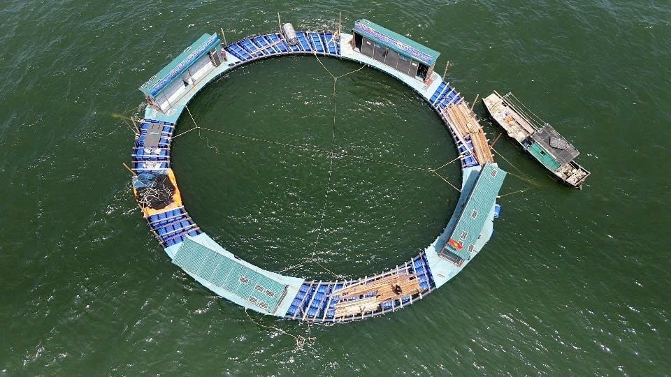 Dự án nuôi trồng thủy sản tập trung tại đặc khu Cô Tô - Quảng Ninh của Công ty Cổ phần Mực nhảy Biển Đông. Ảnh: Mực nhảy Biển Đông.