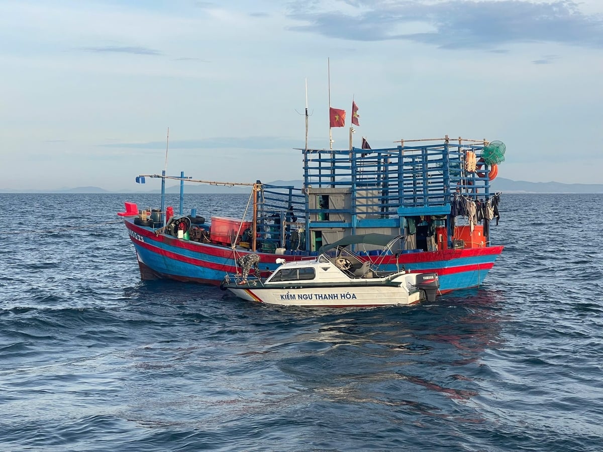 Kết quả chuyến tuần tra cho thấy, bên cạnh những trường hợp vi phạm được phát hiện, xử lý, nhiều tàu cá được kiểm tra chấp hành đầy đủ các quy định về hoạt động khai thác thủy sản. Ảnh: Nam Cận. 