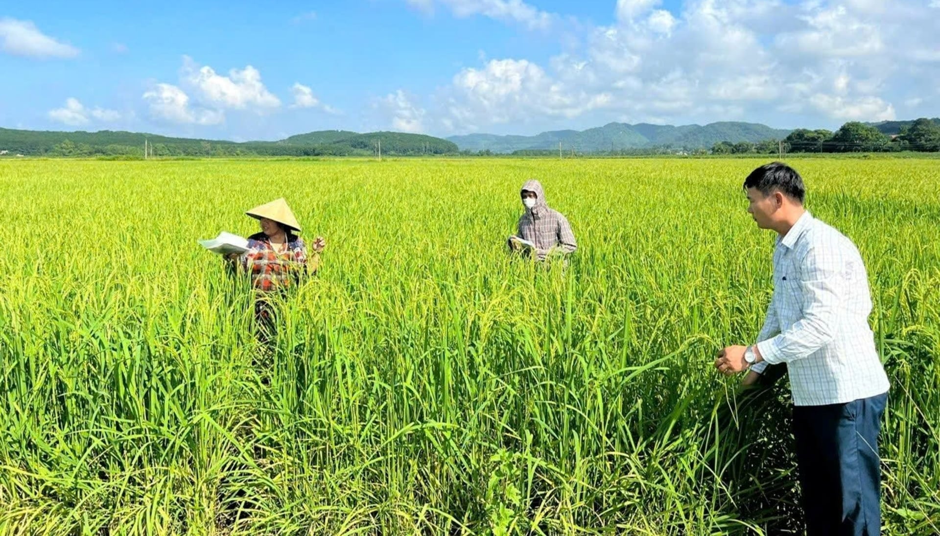 Tỉnh Thanh Hóa đang đẩy mạnh công tác tuyên truyền, vận động hội viên nông dân mạnh dạn thay đổi tập quán canh tác lúa. Ảnh: ĐT. Tỉnh Thanh Hóa đang đẩy mạnh công tác tuyên truyền, vận động hội viên nông dân mạnh dạn thay đổi tập quán canh tác lúa. Ảnh: ĐT.