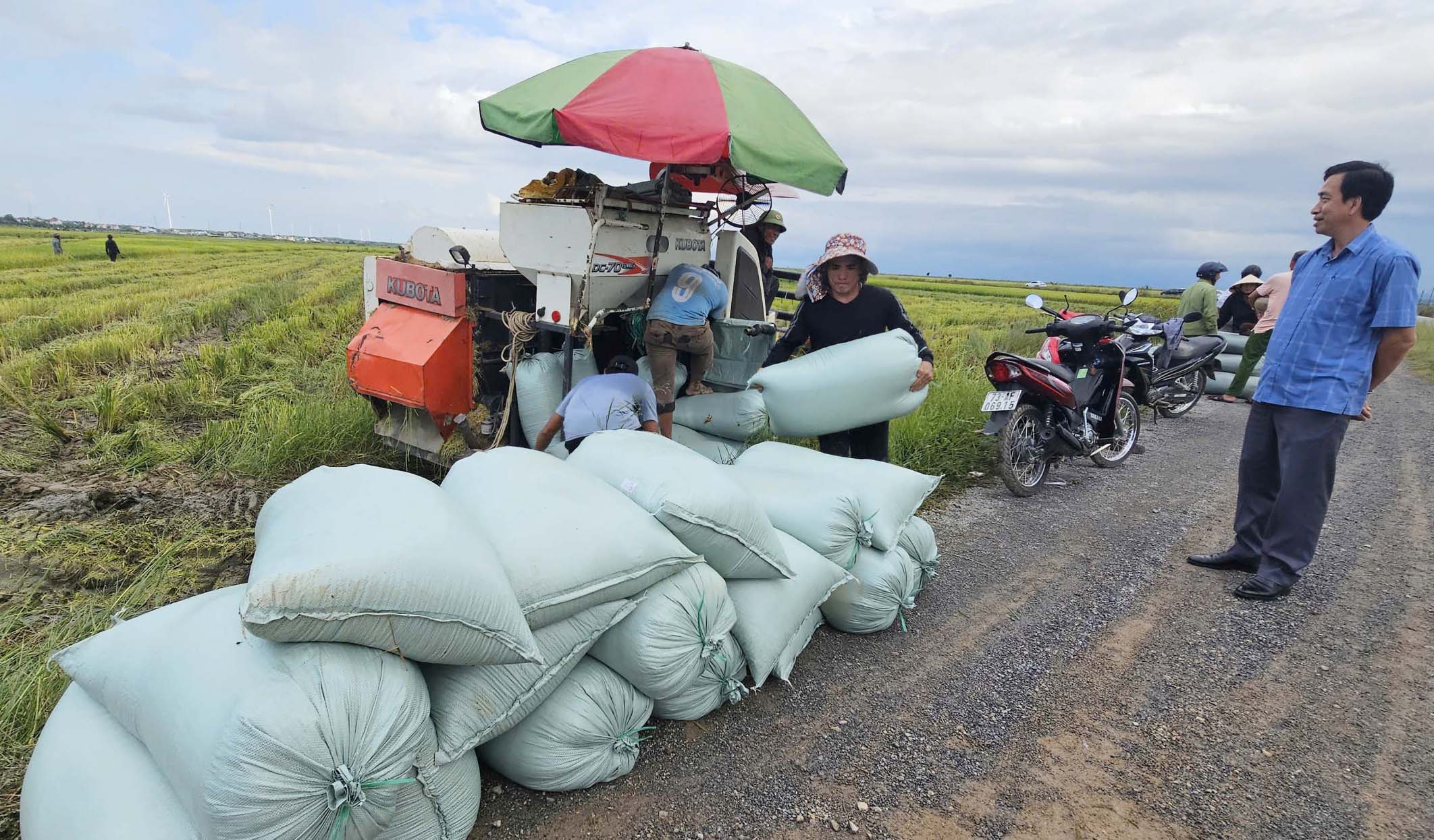 Hình ảnh thu hoạch lúa vụ hè thu năm ngoái trên cánh đồng Ông Đồng, nông dân được mùa, có lãi lớn. Ảnh: Tâm Phùng. Hình ảnh thu hoạch lúa vụ hè thu năm ngoái trên cánh đồng Ông Đồng, nông dân được mùa, có lãi lớn. Ảnh: Tâm Phùng.
