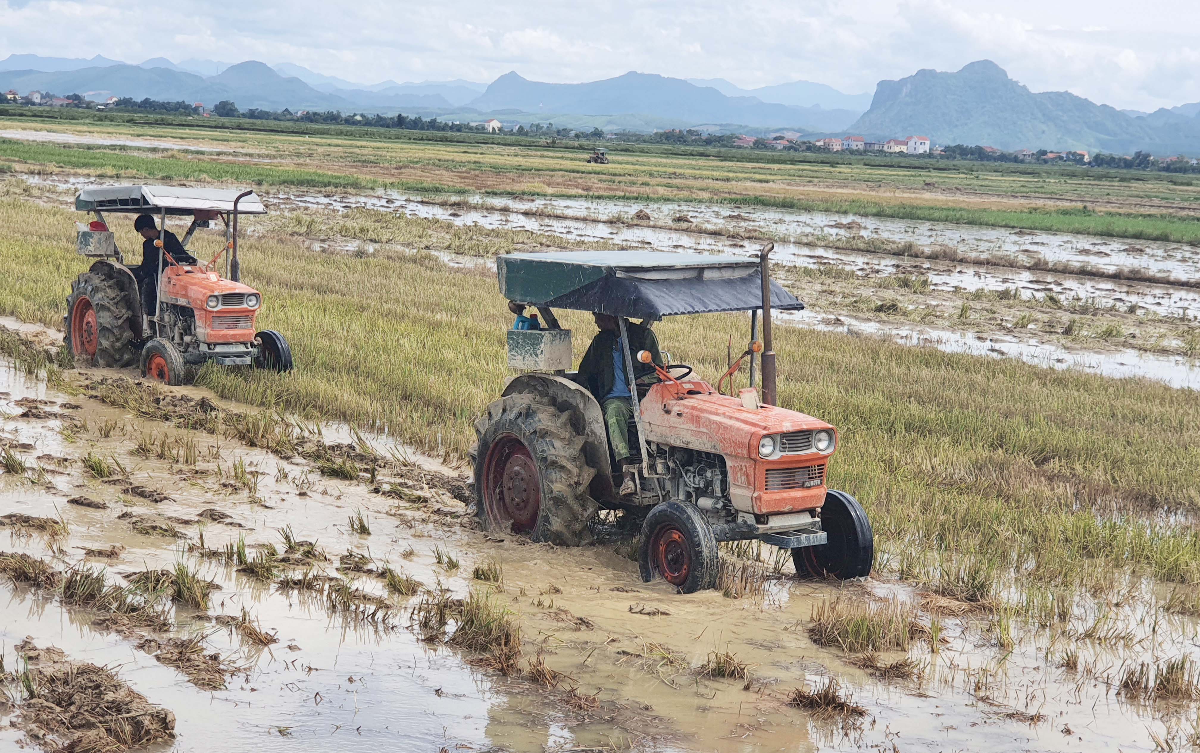 Cần sớm 'cởi trói' cho tích tục ruộng đất để nhà đầu tư mạnh dạn sử dụng máy móc, công nghệ vào sản xuất. Ảnh: Tâm Phùng. Cần sớm 'cởi trói' cho tích tục ruộng đất để nhà đầu tư mạnh dạn sử dụng máy móc, công nghệ vào sản xuất. Ảnh: Tâm Phùng.