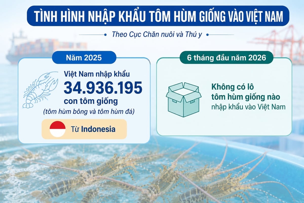 Số liệu: Cục Chăn nuôi và Thú y. Đồ họa: HT. Số liệu: Cục Chăn nuôi và Thú y. Đồ họa: HT.