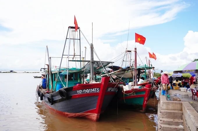 Cục Thủy sản và Kiểm ngư đề nghị Sở Nông nghiệp và Môi trưởng các tỉnh, thành phố ven biển kiểm tra, đôn đốc các tổ chức quản lý cảng cá trong việc lựa chọn các tổ chức chứng nhận uy tín đủ năng lực đánh giá và cấp chứng nhận tương đương theo đúng quy định. Ảnh: Hồng Thắm. Cục Thủy sản và Kiểm ngư đề nghị Sở Nông nghiệp và Môi trưởng các tỉnh, thành phố ven biển kiểm tra, đôn đốc các tổ chức quản lý cảng cá trong việc lựa chọn các tổ chức chứng nhận uy tín đủ năng lực đánh giá và cấp chứng nhận tương đương theo đúng quy định. Ảnh: Hồng Thắm.