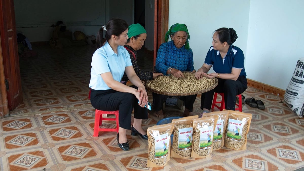 1kg lạc đỏ rang sẵn có giá 100.000 đồng. Ảnh: Thanh Tiến.