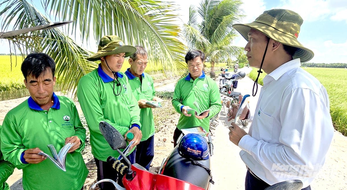 Ông Nguyễn Đức Trọng, Trưởng khu vực Đồng Tháp Mười của Vipesco (bìa phải) tư vấn các giải pháp giúp bà con nông dân xử lý cho cây lúa trên đồng ruộng hiệu quả nhất. Ảnh: Minh Sáng.