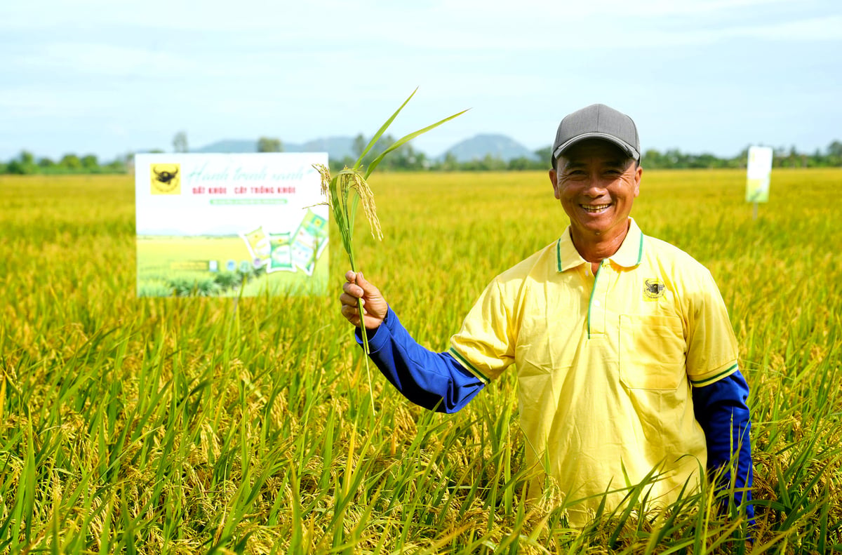 Nông dân tham gia mô hình 'Hành trình Xanh – Đất khỏe, cây trồng khỏe' phấn khởi với ruộng lúa sinh trưởng tốt, năng suất cao. Ảnh: HTX.