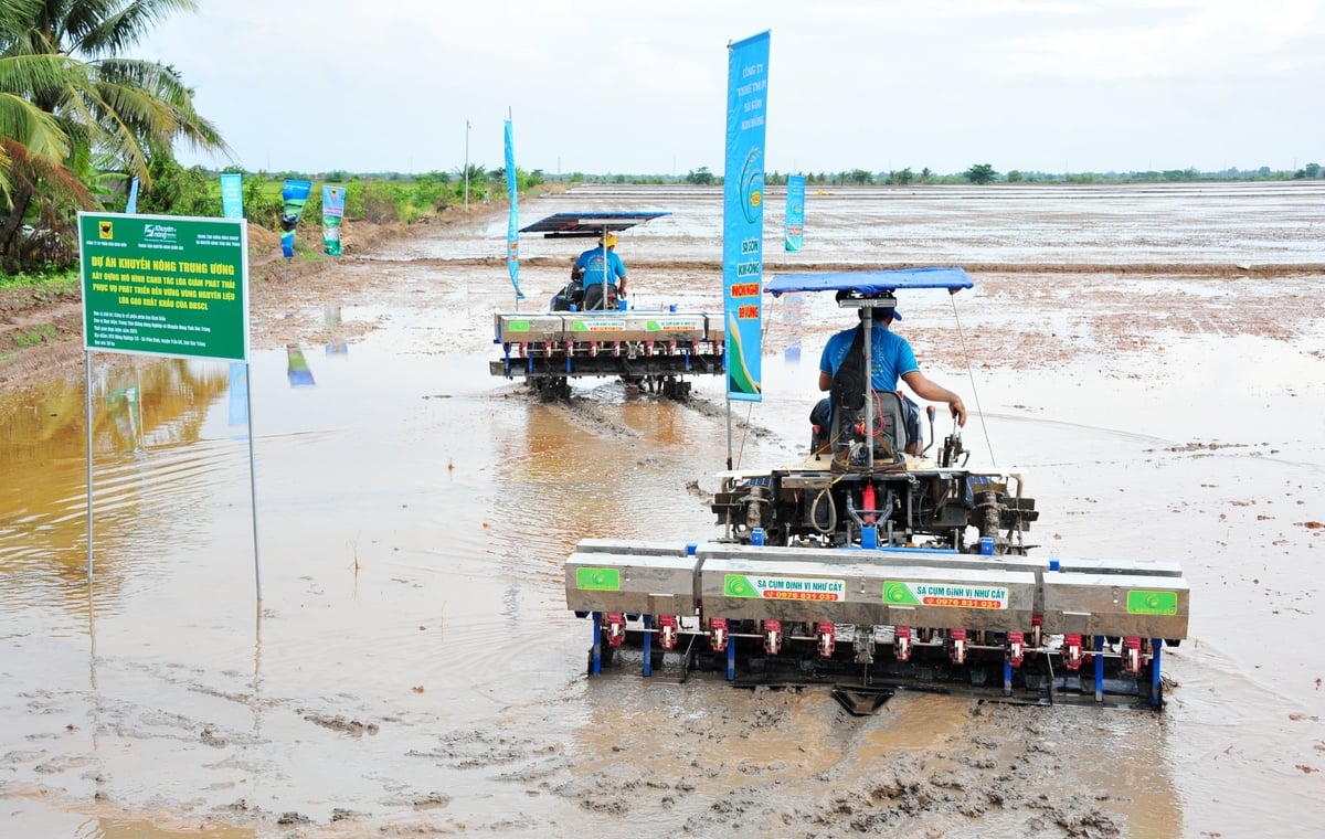 Đất đai là nguồn lực hữu hạn. Đất tốt mà bỏ hoang là một dạng lãng phí nguồn lực phát triển. Ảnh: Lê Hoàng Vũ.