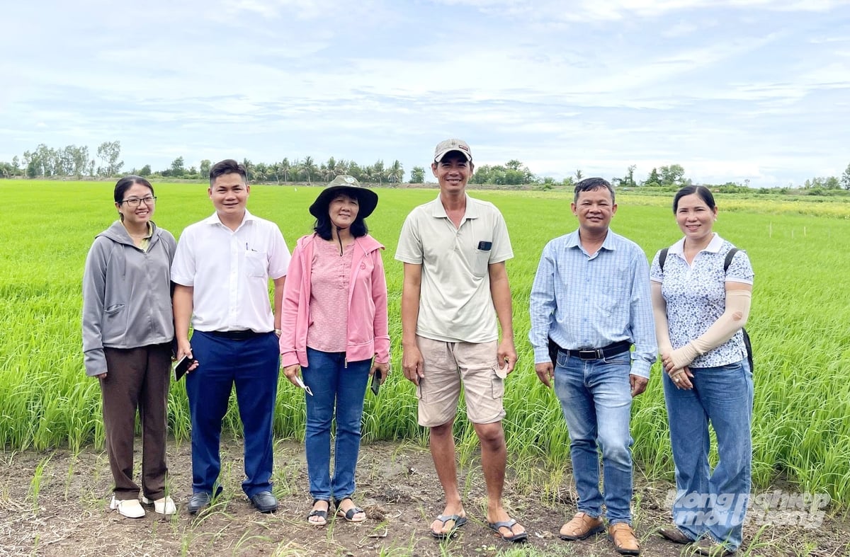 Lãnh đạo Trung tâm Khuyến nông An Giang, cán bộ kỹ thuật và nông dân tham quan mô hình thuộc Đề án 1 triệu hecta lúa chất lượng cao, phát thải thấp trên địa bàn xã Bình Sơn. Ảnh: Lê Hoàng Vũ.