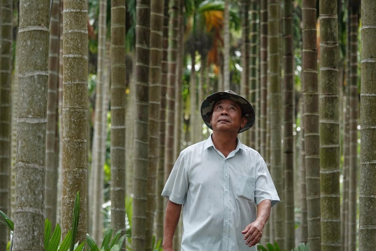Ông Châu Quốc Hải đang phát triển thành công giống cau vú bò, mang lại thu nhập hơn 1 tỷ đồng/năm. Ảnh: Kim Anh.