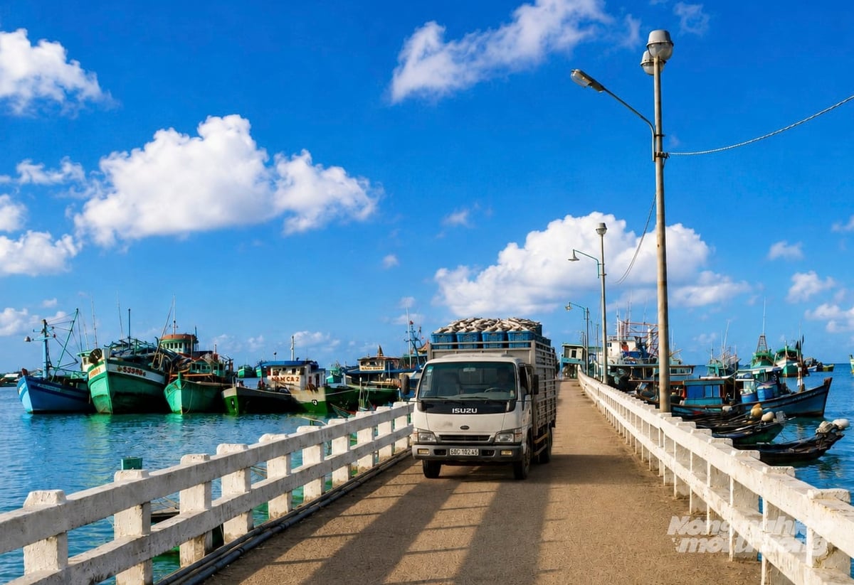 An Giang công bố mở cảng cá tại Thổ Châu, giúp tăng cường hạ tầng dịch vụ hậu cần nghề cá, tăng năng lực bốc dỡ qua cảng và truy xuất nguồn gốc phục vụ chống khai thác IUU. Ảnh: Trung Chánh.