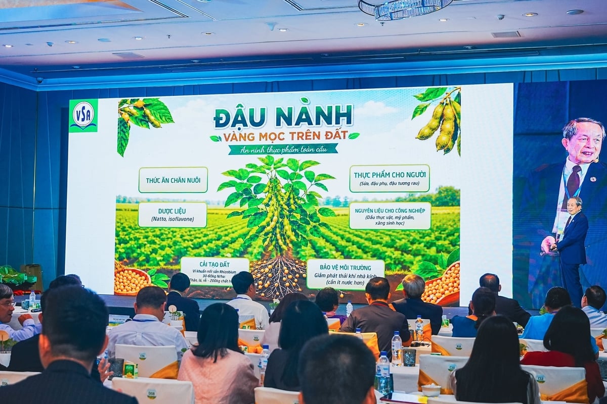 GS.TS Trần Đình Long gọi đậu nành là ‘vàng mọc trên đất’. GS.TS Trần Đình Long gọi đậu nành là ‘vàng mọc trên đất’.