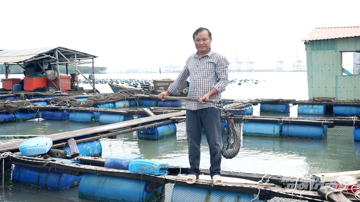 Theo quy định, các cơ sở nuôi lồng bè phải thực hiện đăng ký, ghi chép thông tin trong quá trình nuôi, tạo cơ sở phục vụ quản lý và truy xuất nguồn gốc sản phẩm. Ảnh: Lê Bình.