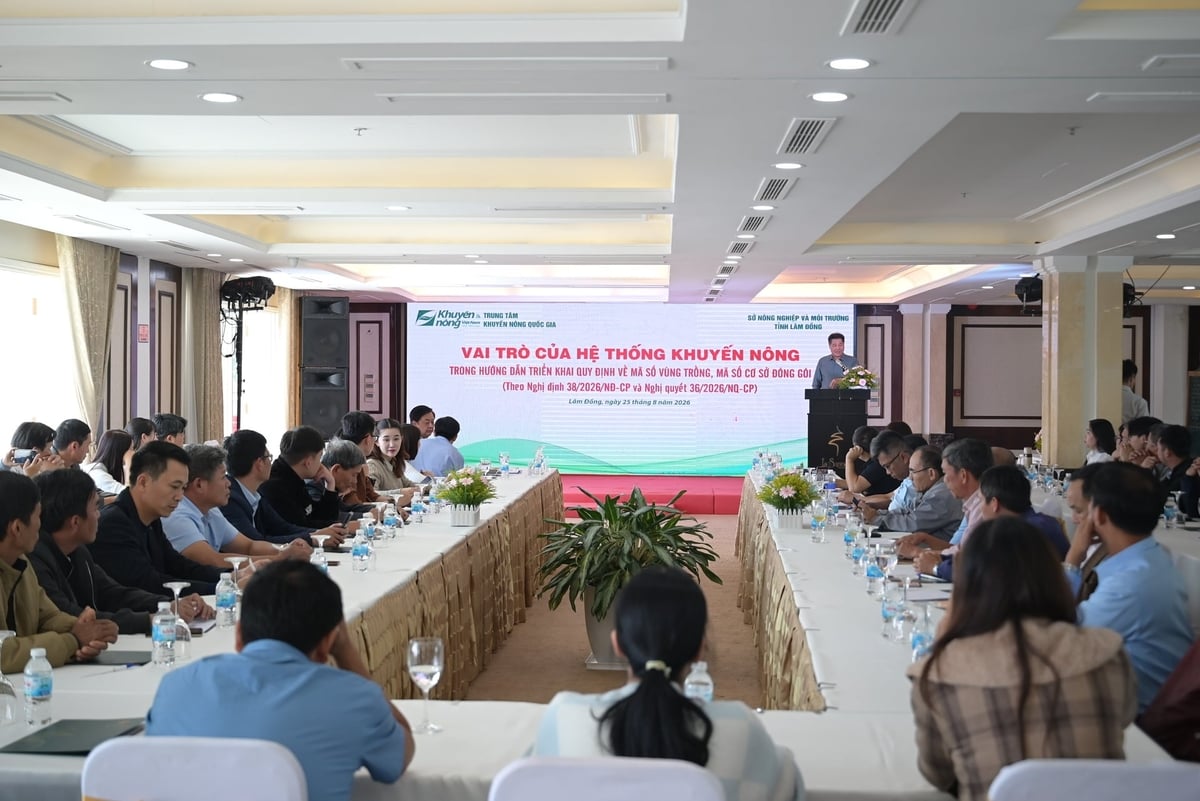 Chương trình thuộc khuôn khổ triển khai các hoạt động hỗ trợ thực hiện Nghị quyết số 36/2026/NQ-CP của Chính phủ về đơn giản hóa thủ tục hành chính đối với mã số vùng trồng. Ảnh: Phạm Hoài.