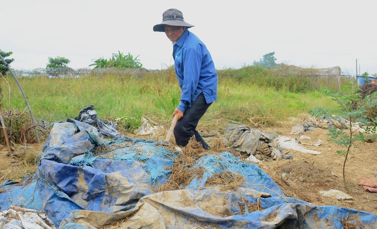 Phế phụ phẩm nông nghiệp được ông Mai Văn Phu ủ thành phân hữu cơ phục vụ sản xuất. Ảnh: Lan Anh.