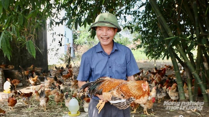Ông Hoàng Văn Cường (xã Đông Ngũ) là một trong những hộ làm giàu từ chăn nuôi gà Tiên Yên. Ảnh: Nguyễn Thành. Ông Hoàng Văn Cường (xã Đông Ngũ) là một trong những hộ làm giàu từ chăn nuôi gà Tiên Yên. Ảnh: Nguyễn Thành.