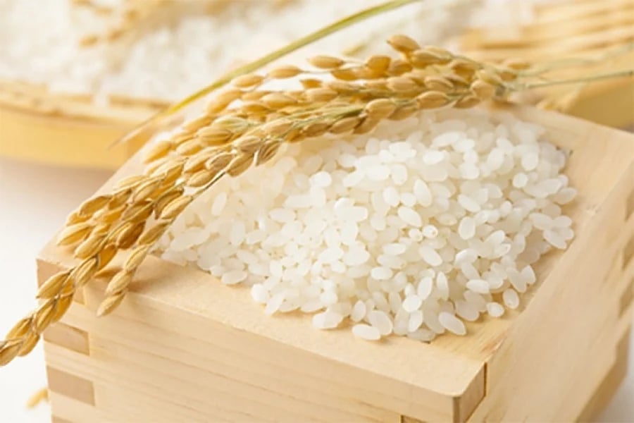 Cập nhật giá lúa gạo hôm nay 12/8/2026 mới nhất Cập nhật giá lúa gạo hôm nay 12/8/2026 mới nhất
