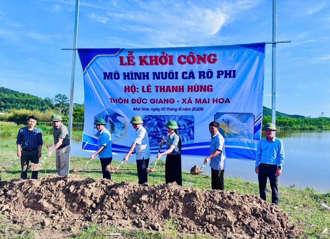Xã Mai Hoa khởi công mô hình liên kết với doanh nghiệp nuôi cá rô phi xuất khẩu. Ảnh: Ánh Nguyệt.