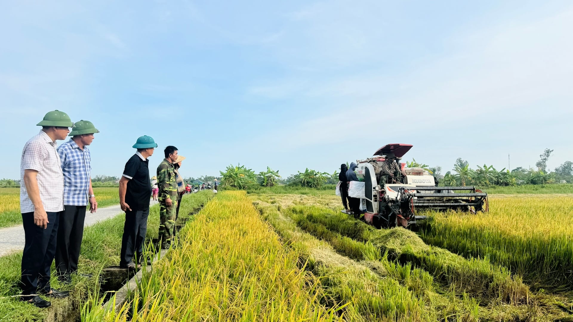 Lãnh đạo xã Đức Quang kiểm tra tiến độ thu hoạch lúa hè thu. Ảnh: Ánh Nguyệt. Lãnh đạo xã Đức Quang kiểm tra tiến độ thu hoạch lúa hè thu. Ảnh: Ánh Nguyệt.