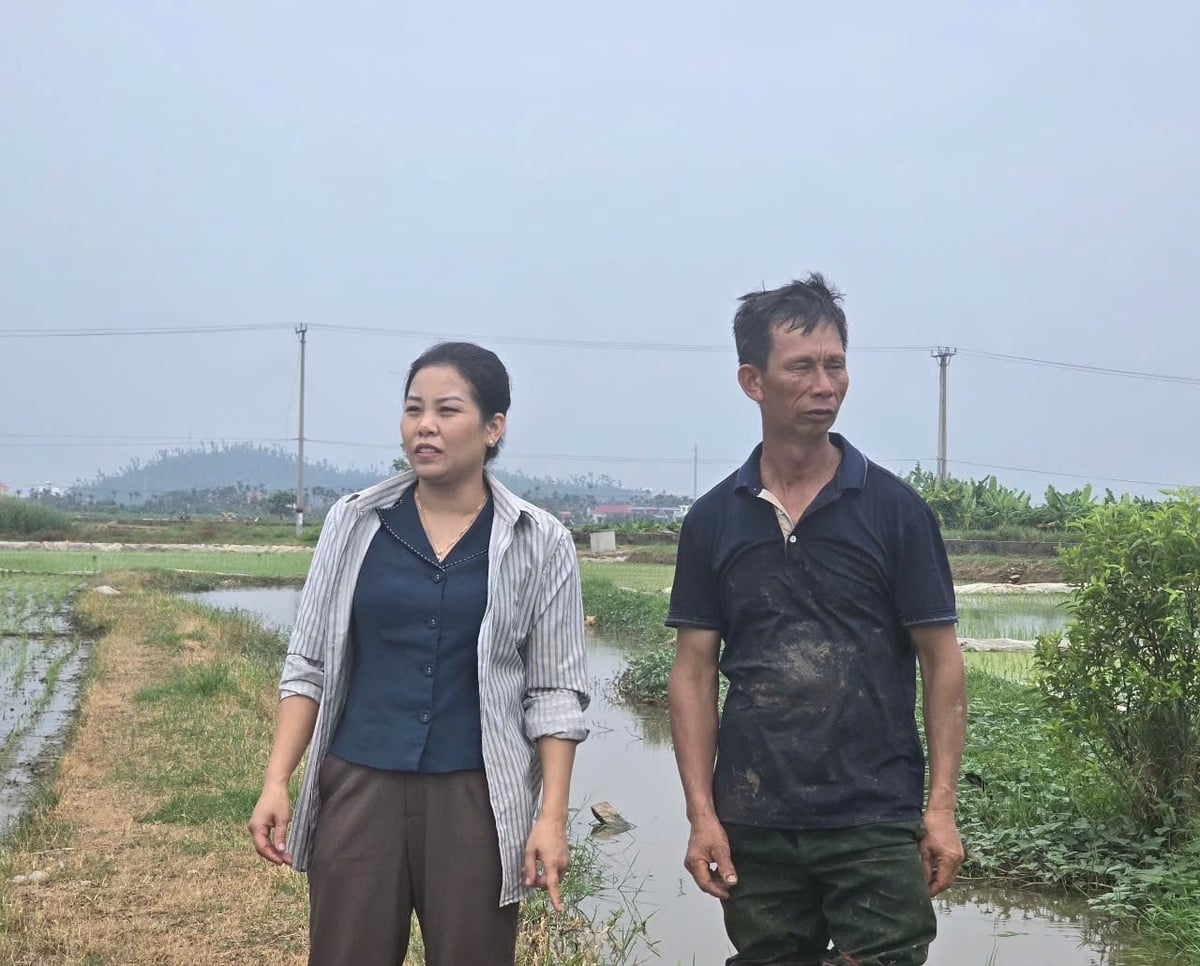 Bà Nguyễn Thị Hà khá lo lắng trong việc tiêu thoát nước vì mực nước sông nhiều nơi cao hơn mực nước trong đồng. Ảnh: Đinh Mười.