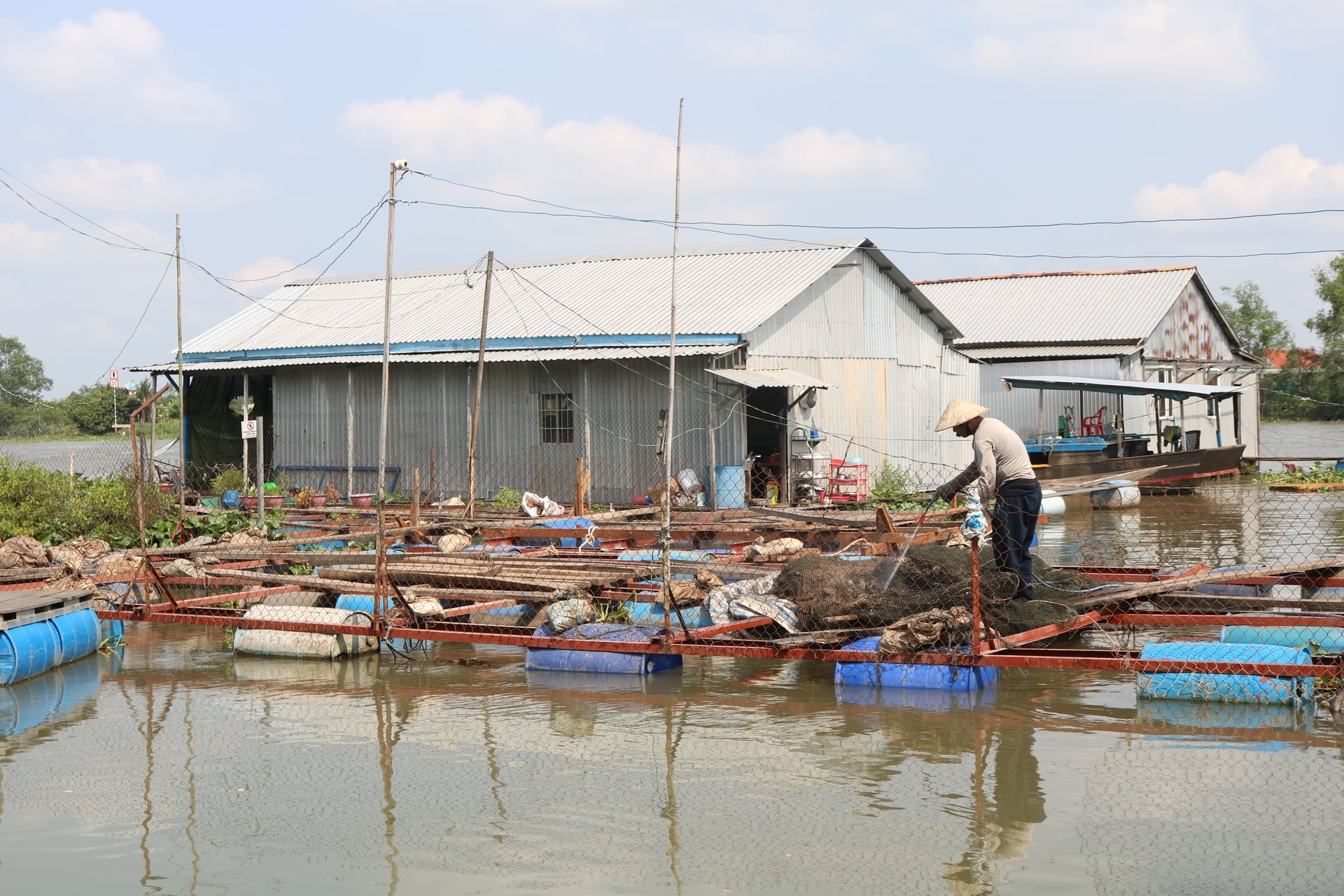 Vĩnh Long tăng cường giám sát dịch bệnh tại các vùng nuôi thủy sản trong năm 2026. Ảnh: Minh Đảm.