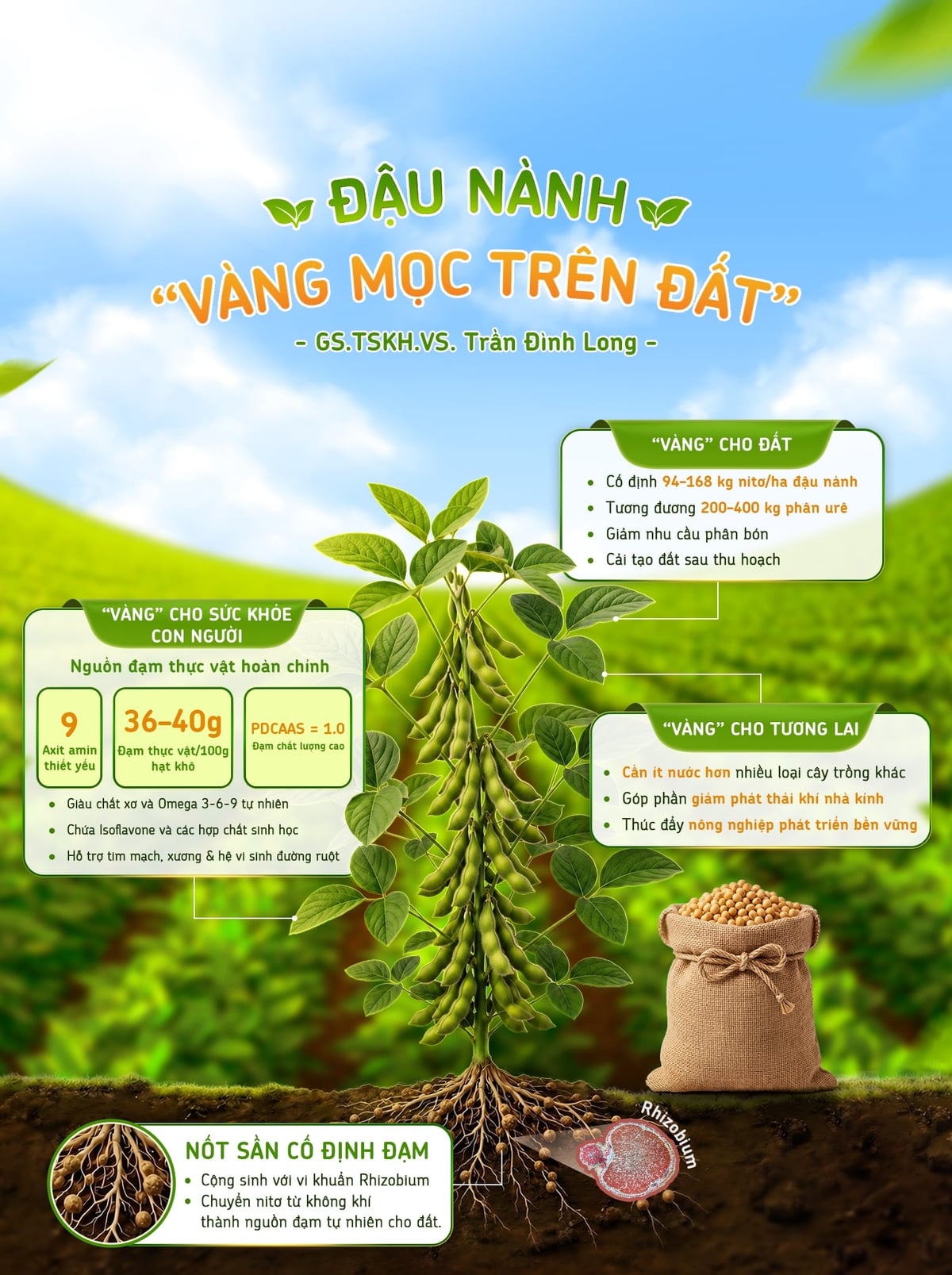 Đậu nành là cây đa tác dụng, vừa cung cấp nguồn đạm thực vật, vừa là nguyên liệu cho nhiều ngành sản xuất. Đậu nành là cây đa tác dụng, vừa cung cấp nguồn đạm thực vật, vừa là nguyên liệu cho nhiều ngành sản xuất.