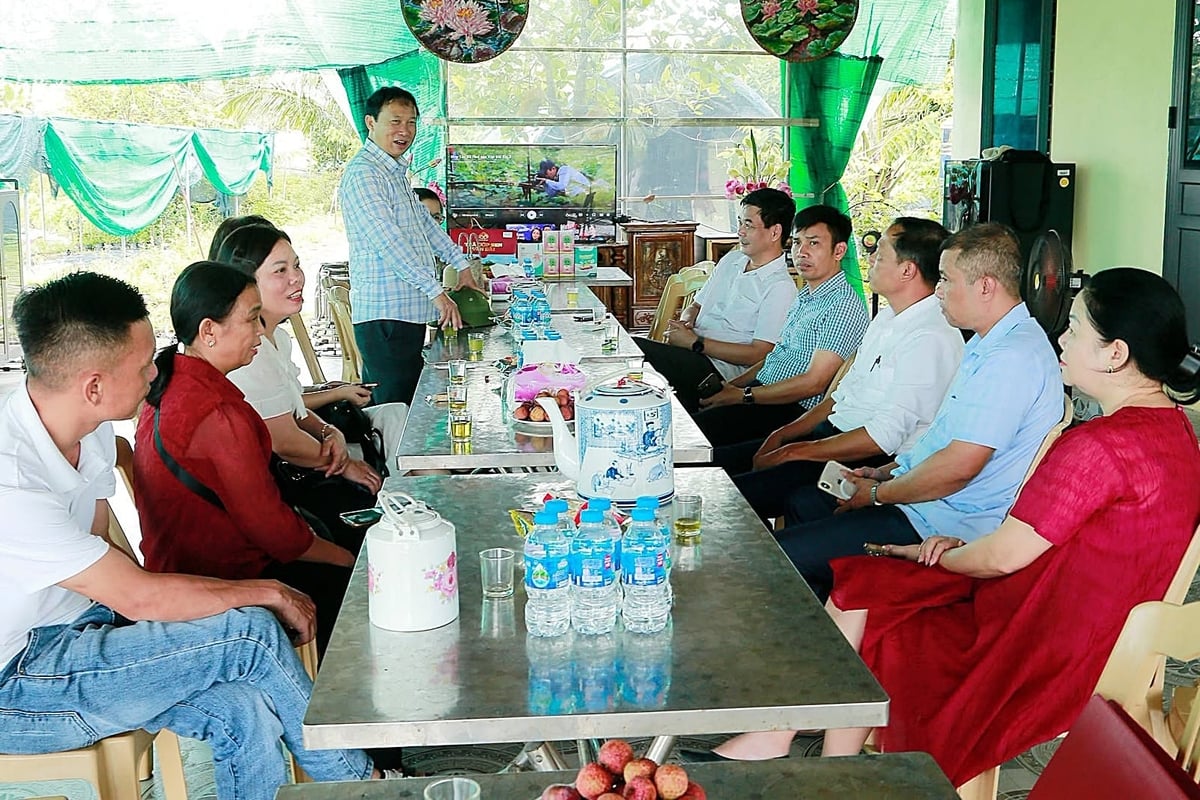 PGS.TS Đặng Văn Đông (đứng) trao đổi với các thành viên Hợp tác xã Vân Đài. Ảnh: Bảo Thắng.