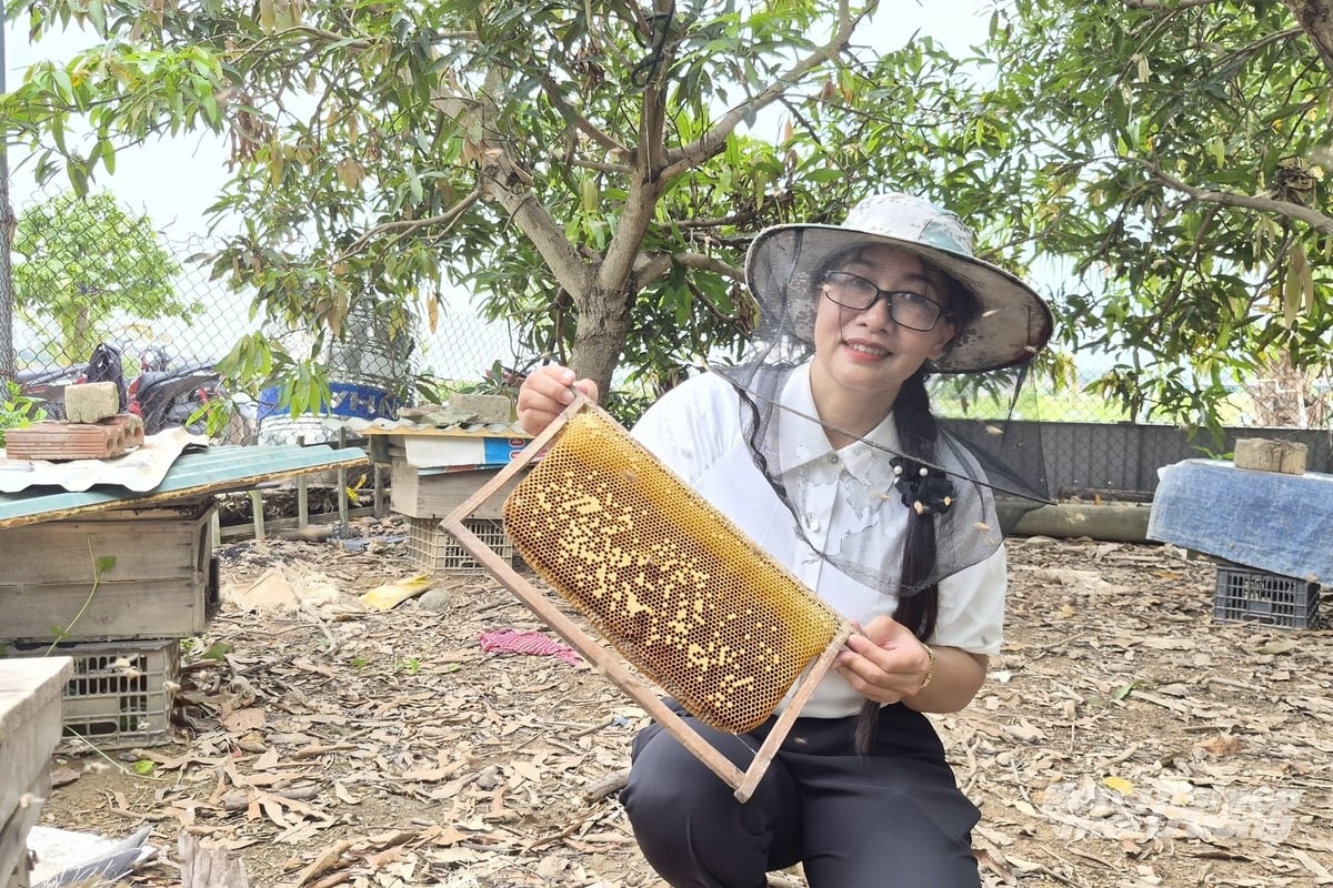 Chị Nguyễn Thúy Toan đã gắn bó gần 30 năm trong công tác khuyến nông. Ảnh: Nguyễn Thành.