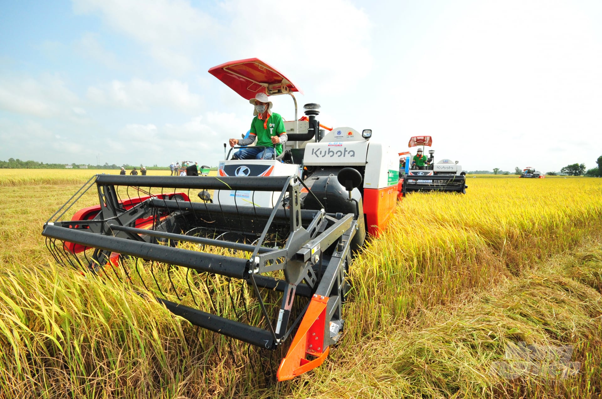 Việc thúc đẩy thị trường cho thuê đất nông nghiệp được kỳ vọng góp phần chuyển dịch cơ cấu sản xuất theo hướng hiện đại. Ảnh: Lê Hoàng Vũ.
