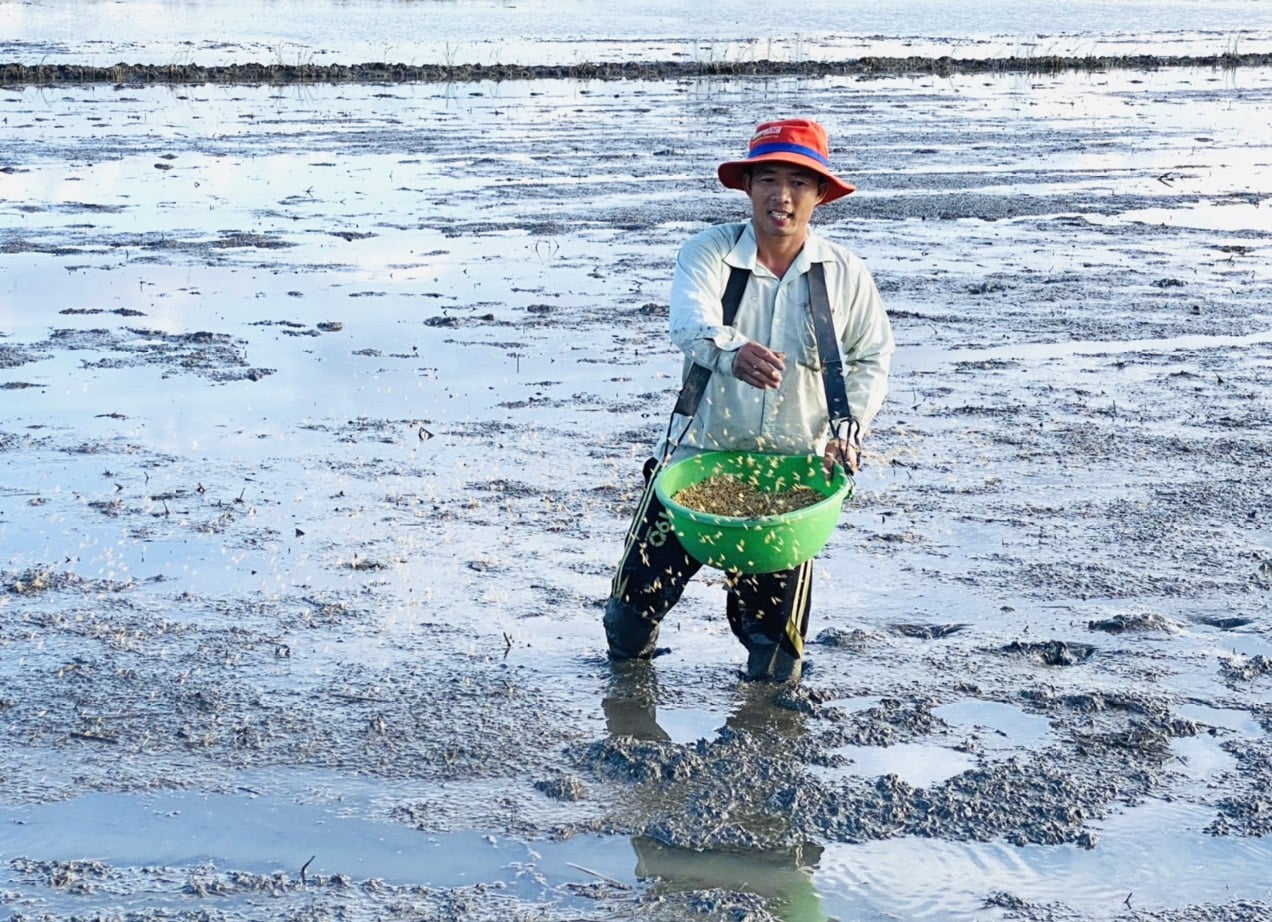 Việc phát triển thị trường cho thuê đất vẫn bảo đảm quyền sử dụng đất của người dân. Ảnh: Lê Hoàng Vũ.