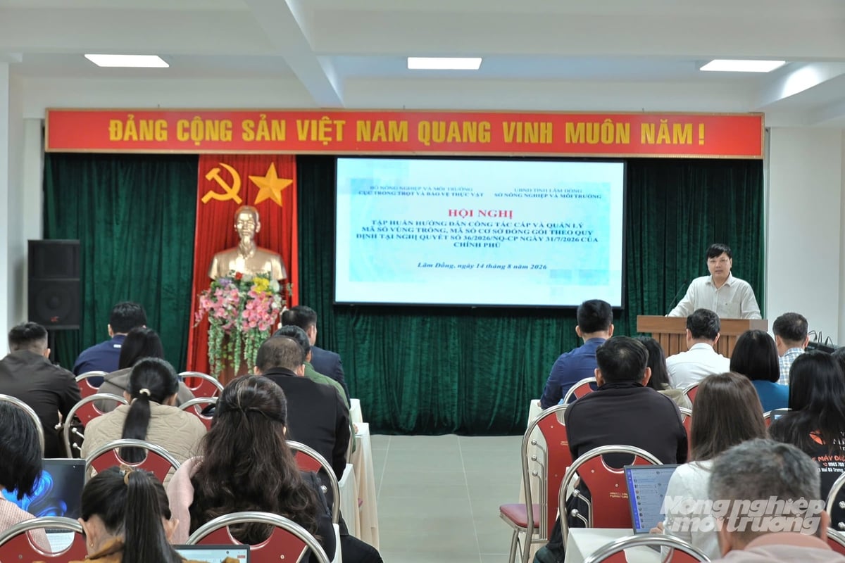Hội nghị tập huấn hướng dẫn công tác cấp và quản lý mã số vùng trồng, mã số cơ sở đóng gói tại Lâm Đồng. Ảnh: Nhật Tiến. Hội nghị tập huấn hướng dẫn công tác cấp và quản lý mã số vùng trồng, mã số cơ sở đóng gói tại Lâm Đồng. Ảnh: Nhật Tiến.