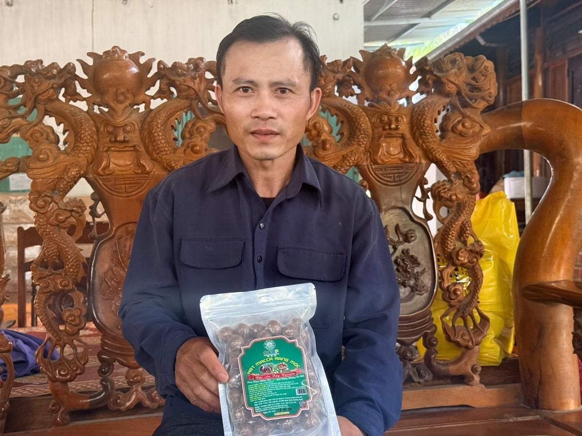 Anh Trần Xuân Dũng bên sản phẩm mắc ca được công nhận OCOP 3 sao. Ảnh: Võ Hà. Anh Trần Xuân Dũng bên sản phẩm mắc ca được công nhận OCOP 3 sao. Ảnh: Võ Hà.