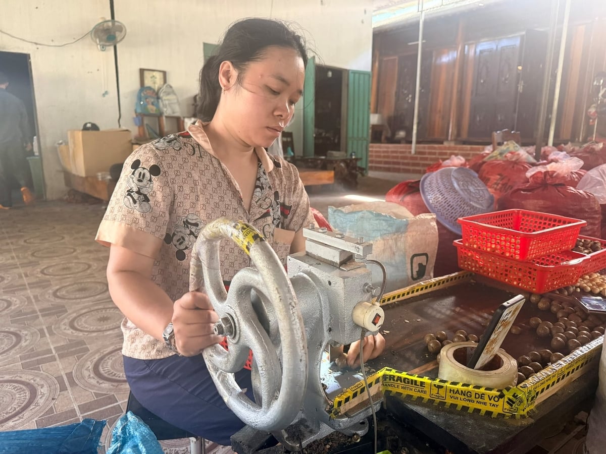 Đầu tư máy tách vỏ và lò sấy giúp người trồng mắc ca chủ động chế biến, nâng cao giá trị sản phẩm. Ảnh: Võ Hà. Đầu tư máy tách vỏ và lò sấy giúp người trồng mắc ca chủ động chế biến, nâng cao giá trị sản phẩm. Ảnh: Võ Hà.