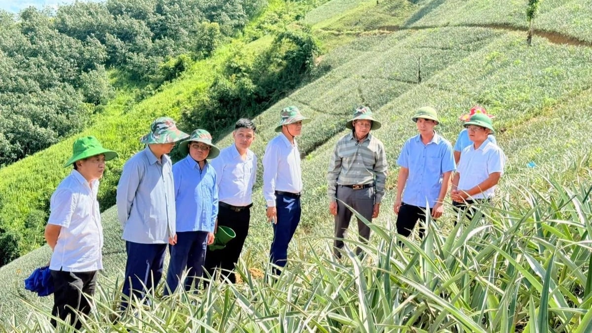 Nông dân xã Na Sang (Điện Biên) áp dụng quy trình sản xuất an toàn, góp phần nâng cao giá trị nông sản và bảo vệ môi trường. Ảnh: Xã Na Sang.