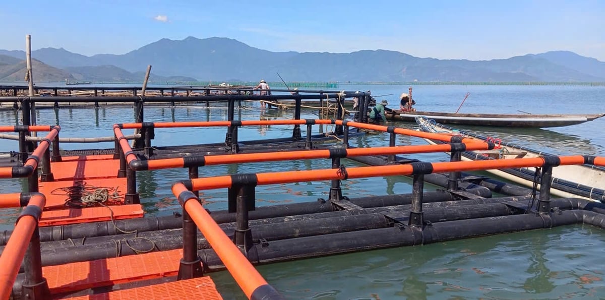 Trung tâm Khuyến nông TP. Huế triển khai mô hình nuôi trồng thủy hải sản bằng lồng bè HDPE. Ảnh: Văn Dinh. Trung tâm Khuyến nông TP. Huế triển khai mô hình nuôi trồng thủy hải sản bằng lồng bè HDPE. Ảnh: Văn Dinh.