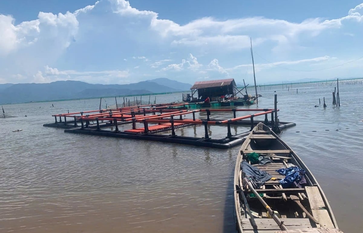 Ngành khuyến nông xứ Huế tiếp tục xem xét nhân rộng mô hình nuôi trồng thủy hải sản bằng lồng bè HDPE ở nhiều vùng nuôi. Ảnh: Văn Dinh. Ngành khuyến nông xứ Huế tiếp tục xem xét nhân rộng mô hình nuôi trồng thủy hải sản bằng lồng bè HDPE ở nhiều vùng nuôi. Ảnh: Văn Dinh.