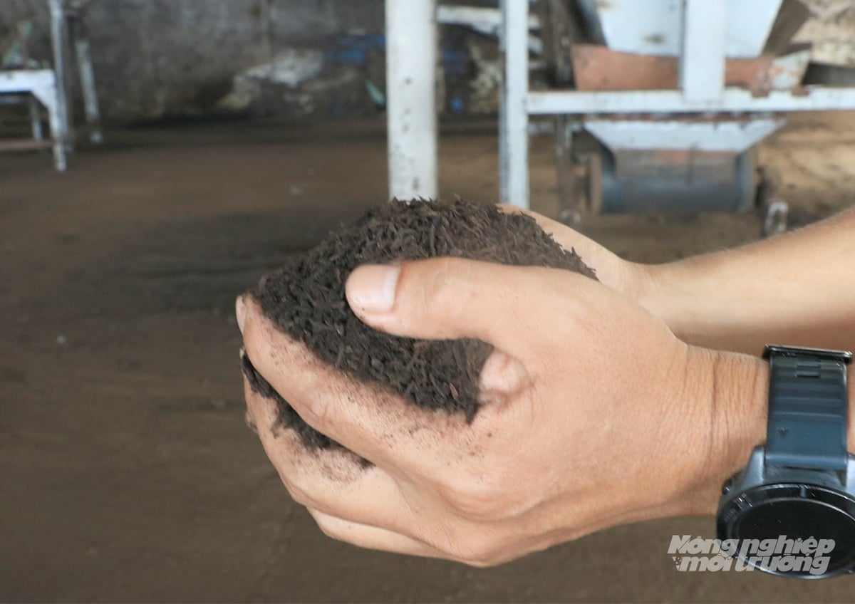 Phân hữu cơ vi sinh sản xuất từ đệm lót sinh học ở Công ty TNHH Trang Linh. Ảnh: Thanh Sơn.