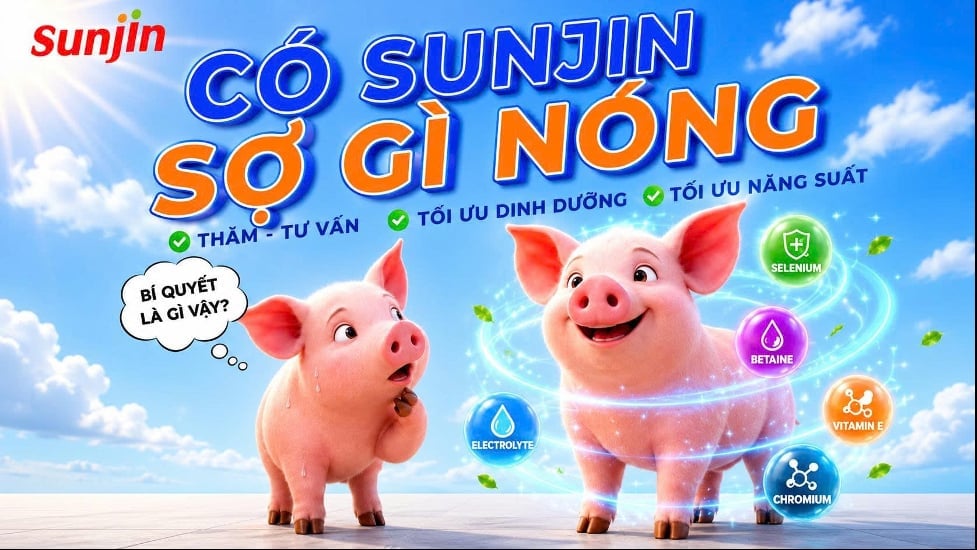 'Có Sunjin - Sợ gì nóng' đã triển khai thành công trên phạm vi toàn quốc từ tháng 6 - 8. Ảnh: Sunjin Việt Nam.