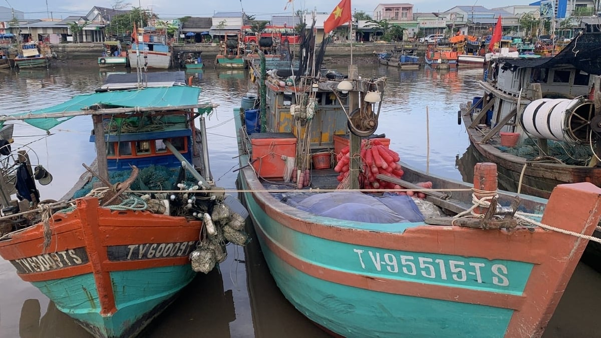 Vĩnh Long tiếp tục rà soát các tàu cá có nguy cơ vi phạm để chủ động cảnh báo, ngăn ngừa từ sớm. Ảnh: Hồ Thảo.