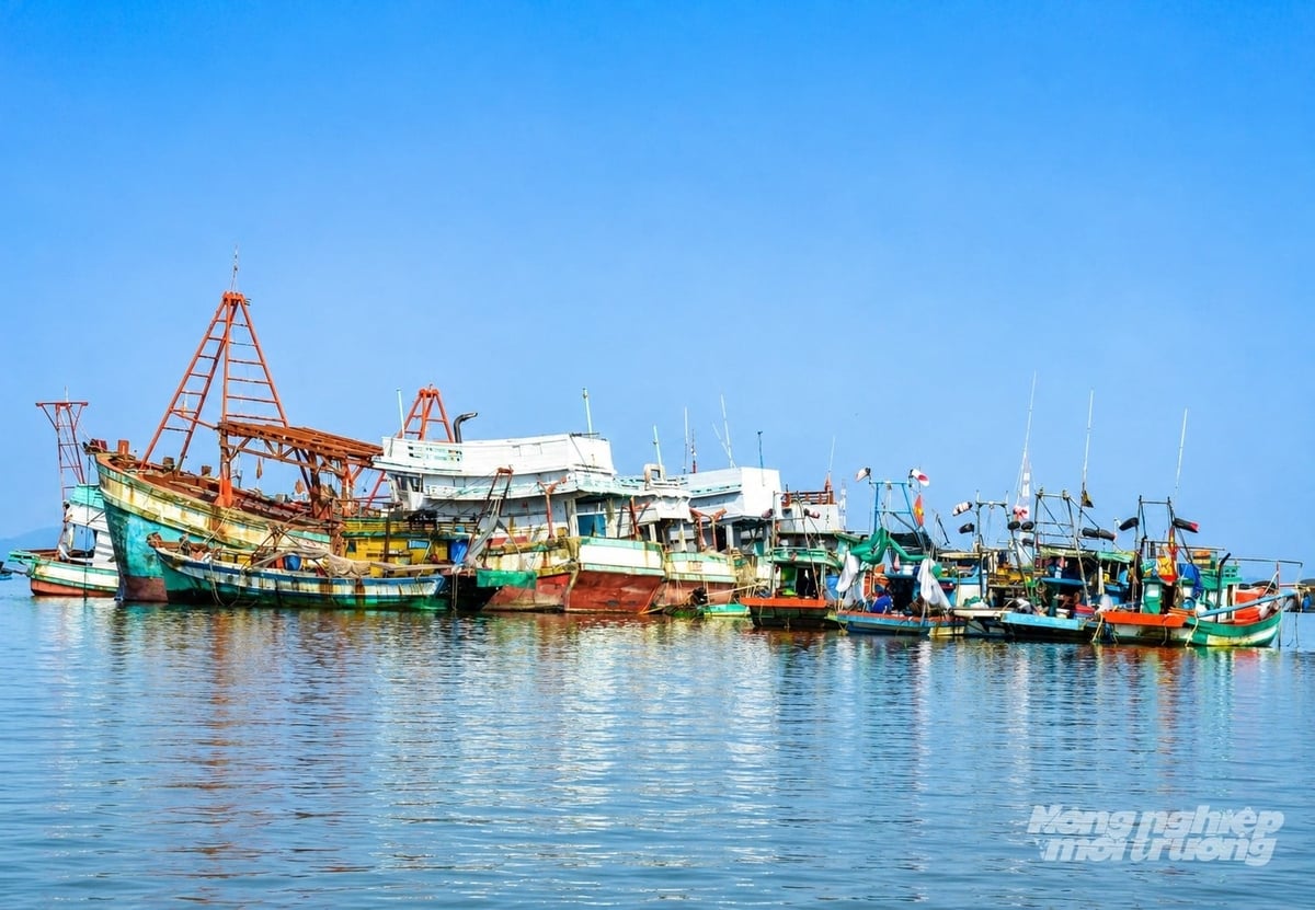 Tàu cá neo đậu ở cửa biển Xẻo Nhàu (xã Tân Thạnh, tỉnh An Giang), trong đó có nhiều tàu không có số hiệu theo quy định. Ảnh: Trung Chánh.