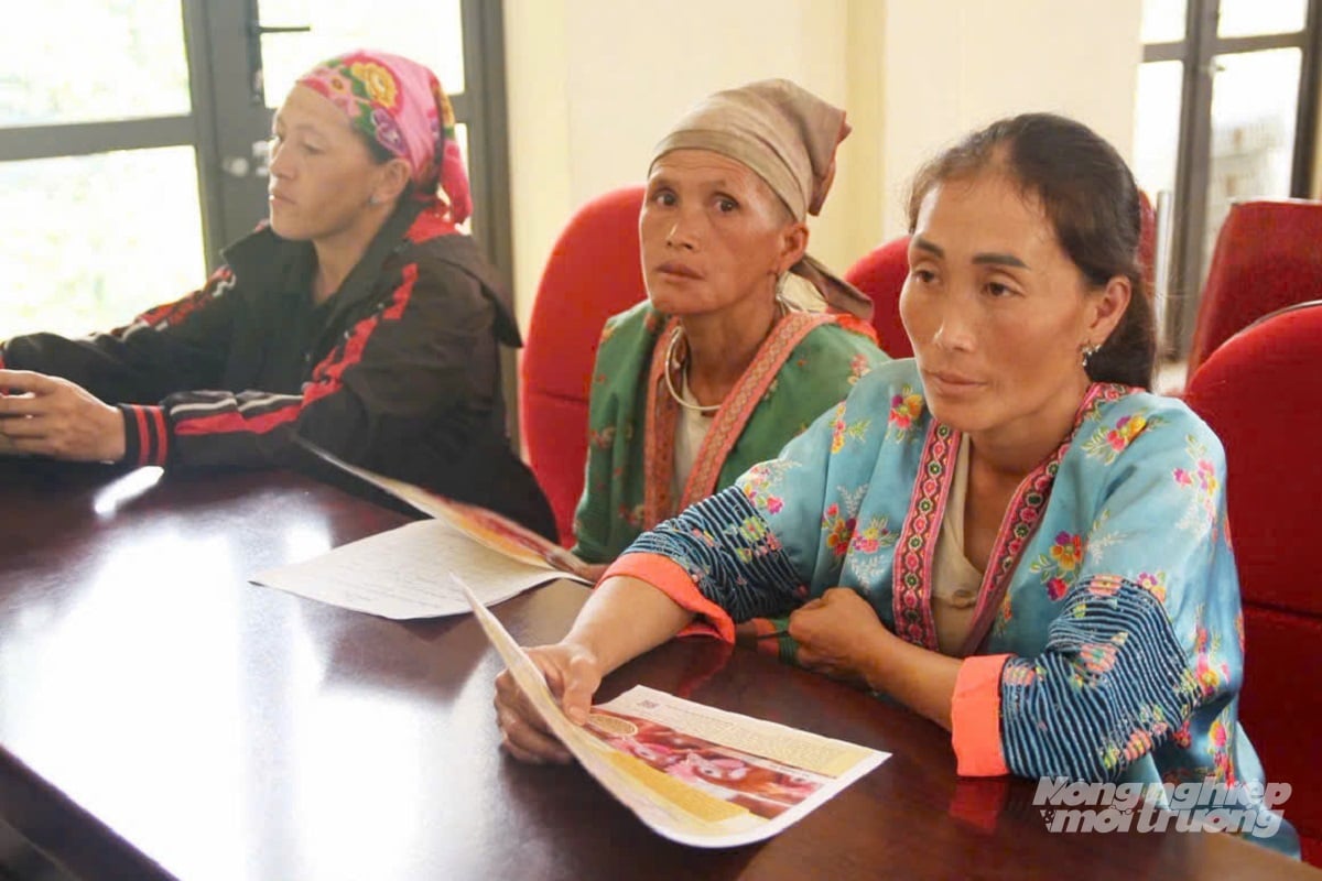 Người dân xã Phiêng Cằm được tập huấn kỹ thuật úm và chăm sóc gà. Ảnh: Nguyễn Nga. Người dân xã Phiêng Cằm được tập huấn kỹ thuật úm và chăm sóc gà. Ảnh: Nguyễn Nga.