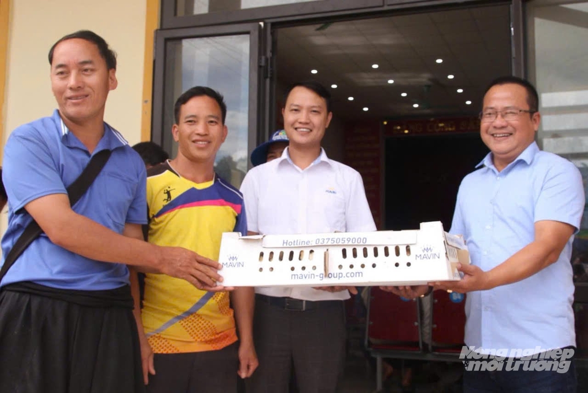 Đại diện Tập đoàn Mavin trao gà giống cho bà con xã Phiêng Cằm. Ảnh: Nguyễn Nga. Đại diện Tập đoàn Mavin trao gà giống cho bà con xã Phiêng Cằm. Ảnh: Nguyễn Nga.