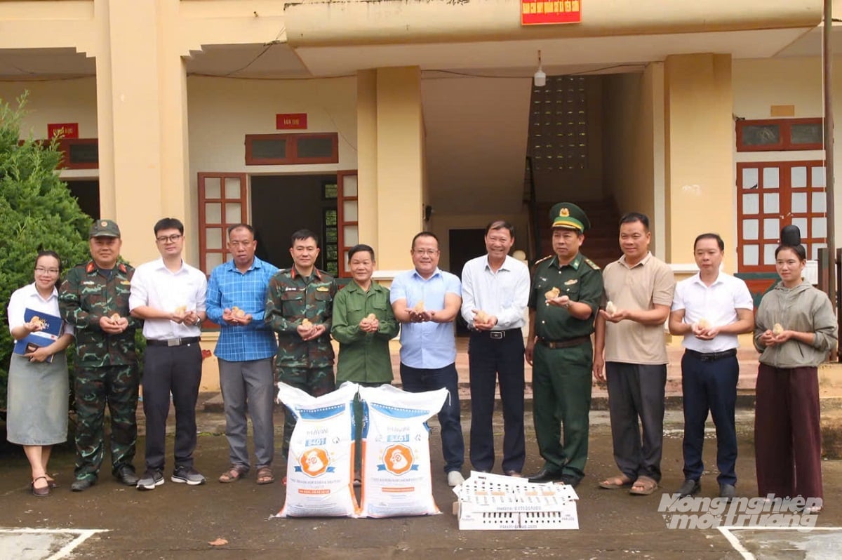 Đại diện các đơn vị phối hợp trao gà giống và thức ăn chăn nuôi Mavin cho các hộ dân xã Yên Sơn. Ảnh: Nguyễn Nga. Đại diện các đơn vị phối hợp trao gà giống và thức ăn chăn nuôi Mavin cho các hộ dân xã Yên Sơn. Ảnh: Nguyễn Nga.