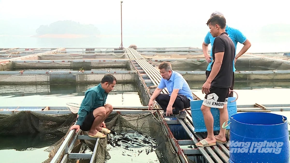 Cơ sở dữ liệu về nuôi trồng thủy sản được quy định cụ thể từ dữ liệu về giống, thức ăn đến dữ liệu quan trắc, cảnh báo môi trường, phòng, chống dịch bệnh. Ảnh: Tú Thành. Cơ sở dữ liệu về nuôi trồng thủy sản được quy định cụ thể từ dữ liệu về giống, thức ăn đến dữ liệu quan trắc, cảnh báo môi trường, phòng, chống dịch bệnh. Ảnh: Tú Thành.