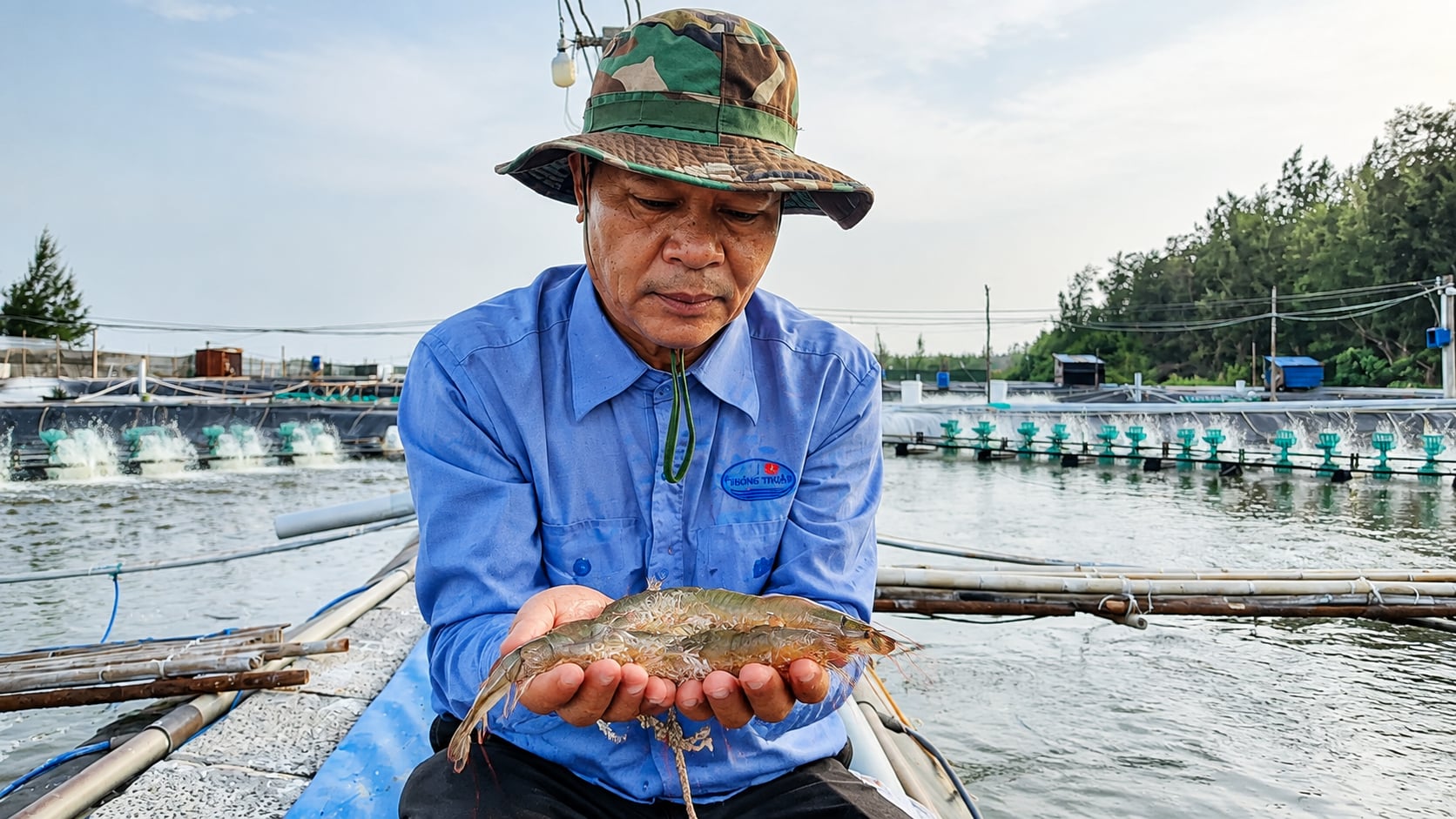 Nông dân Vĩnh Long ứng dụng công nghệ cao trong nuôi tôm, góp phần xây dựng vùng nguyên liệu phục vụ xuất khẩu. Ảnh: Hồ Thảo. Nông dân Vĩnh Long ứng dụng công nghệ cao trong nuôi tôm, góp phần xây dựng vùng nguyên liệu phục vụ xuất khẩu. Ảnh: Hồ Thảo.
