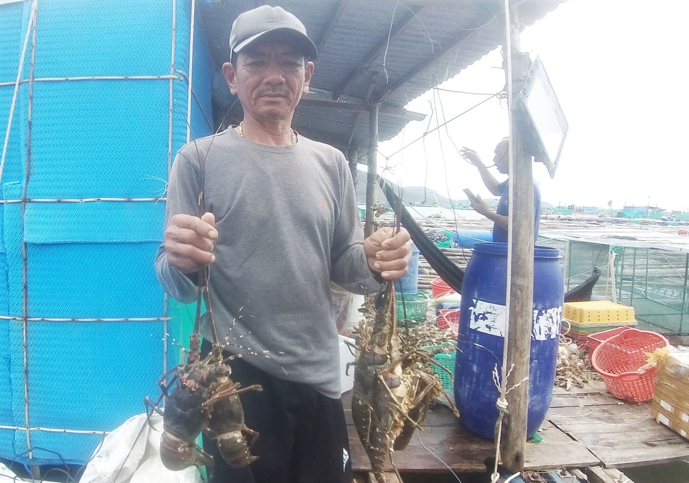 UBND tỉnh Đắk Lắk ban hành quy chế quản lý chỉ dẫn địa lý ‘Phú Yên’ cho sản phẩm tôm hùm bông của tỉnh. Ảnh: Trần Thọ. UBND tỉnh Đắk Lắk ban hành quy chế quản lý chỉ dẫn địa lý ‘Phú Yên’ cho sản phẩm tôm hùm bông của tỉnh. Ảnh: Trần Thọ.