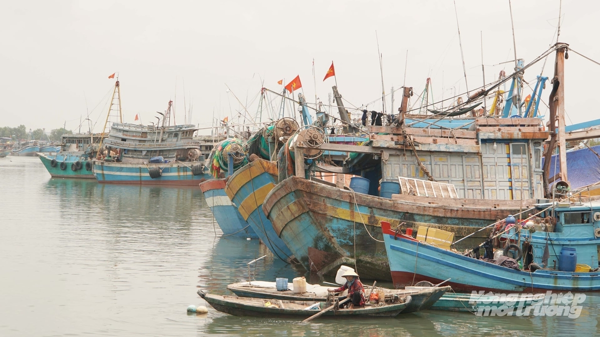 Mức hỗ trợ giải bản tàu cá được phân theo chiều dài tàu, cao nhất 250 triệu đồng đối với tàu có chiều dài lớn nhất từ 24 m trở lên. Ảnh: Lê Bình.