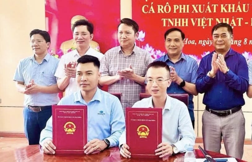 UBND xã Mai Hoa và Công ty TNHH Việt Nhật - BaiYang đã ký biên bản ghi nhớ hợp tác xây dựng chuỗi liên kết nuôi cá rô phi phục vụ xuất khẩu. Ảnh: UBND xã Mai Hoa.
