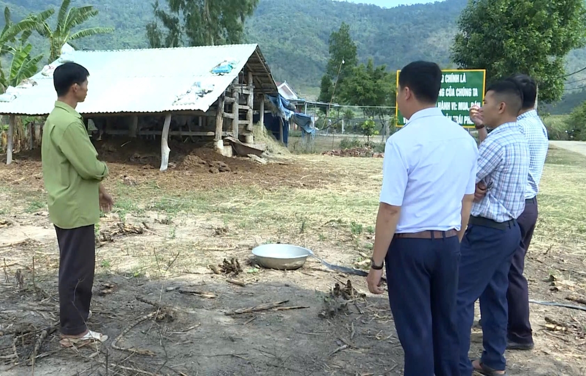 Chính quyền xã Tơ Tung định hướng phát triển đàn trâu theo hướng hàng hóa, bền vững. Ảnh: Tuấn Anh.