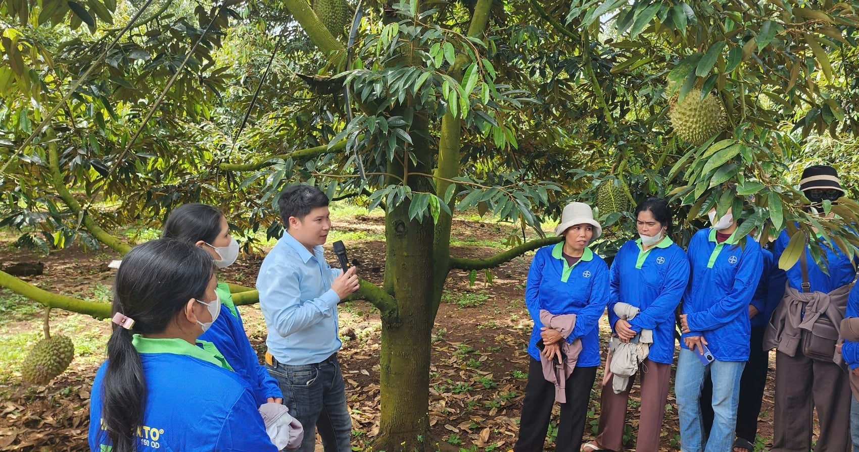 Đại diện Công ty TNHH Bayer Việt Nam chia sẻ kinh nghiệm canh tác sầu riêng bền vững cho nữ nông dân tại vườn. Ảnh: Tuấn Trần.